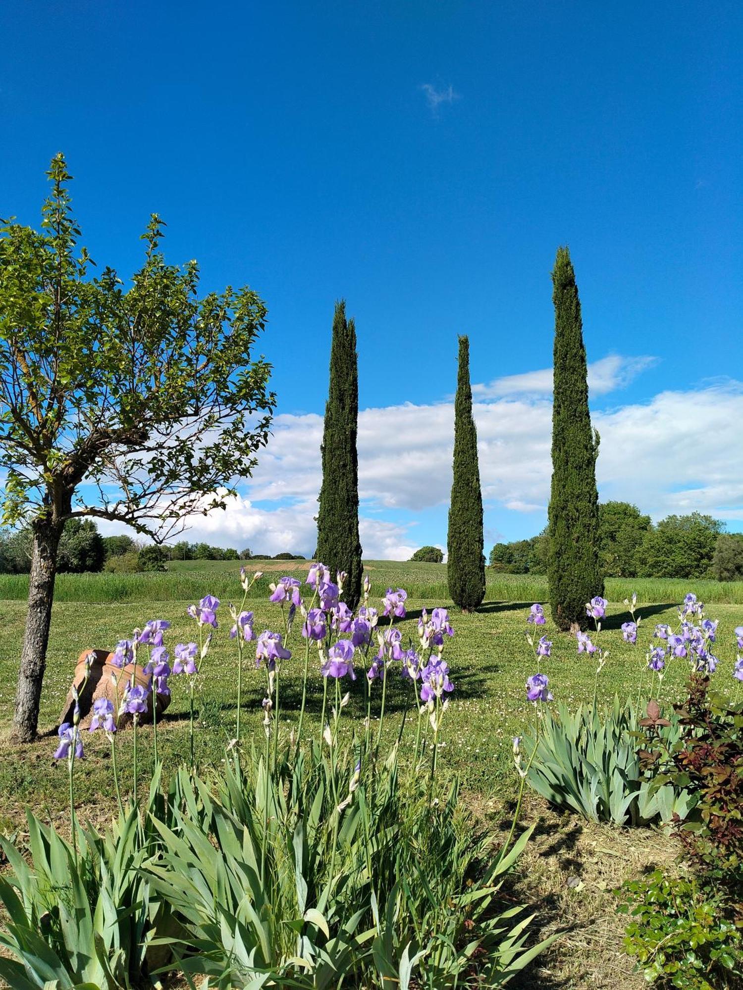 Villa Nobile Cortona Family Apartments Экстерьер фото